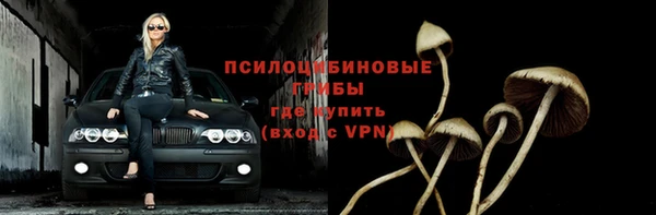 трава Абдулино