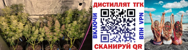 KRAKEN зеркало  Азов  Дистиллят ТГК THC oil  закладка 