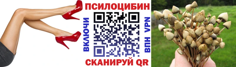 Галлюциногенные грибы Cubensis как найти закладки Азов
